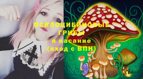 а пвп мука Богородск