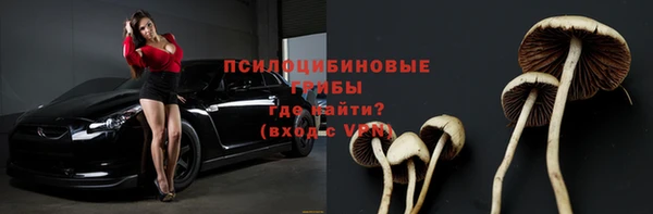 каннабис Богданович