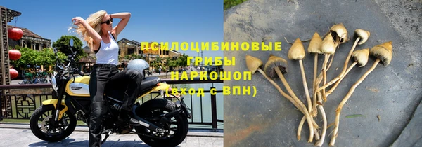 таблы Богородицк