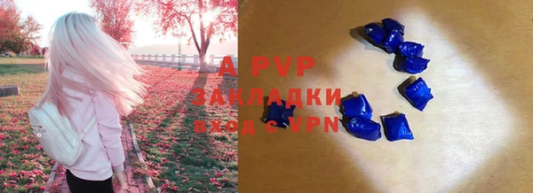 таблы Богородицк