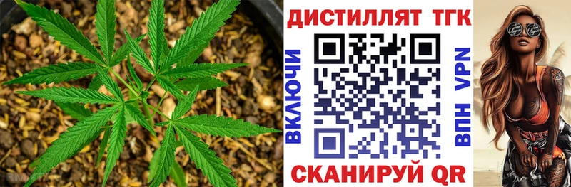 ТГК THC oil  кракен онион  Кашин 